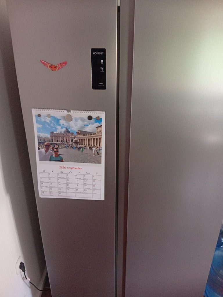 Saját Gorenje NRR9185EAXL hűtőszekrény – külső nézet – termékillusztráció