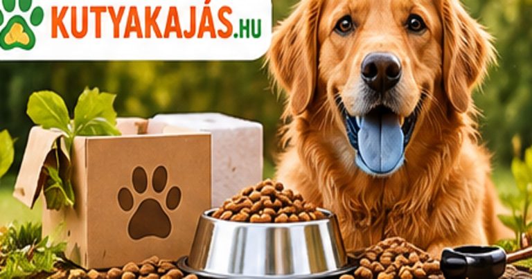 Kutyakajás csomagajánlatok – így vásárolhatsz okosabban kedvencednek – illusztráció